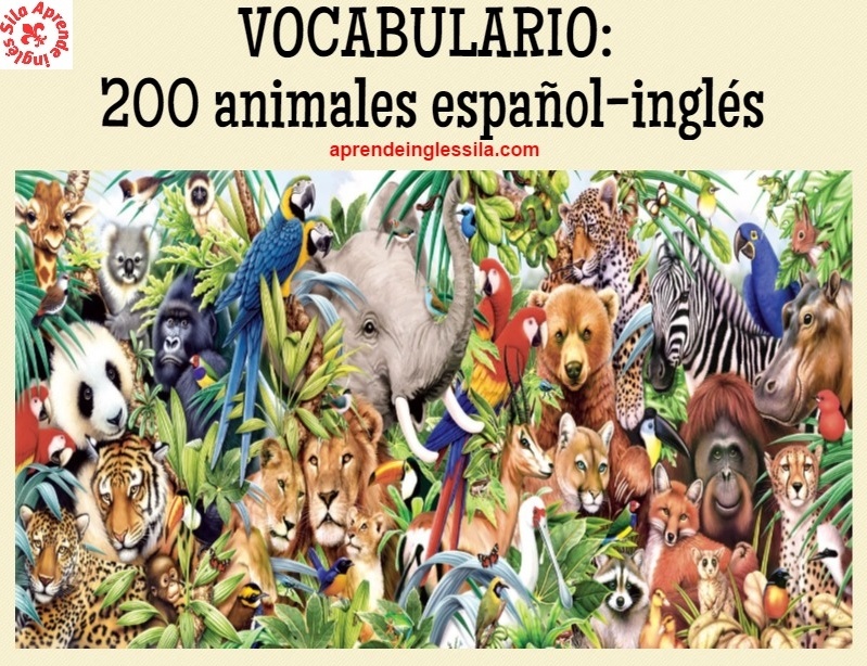 Lista de vocabulario: 200 animales español-inglés (con pronunciación)